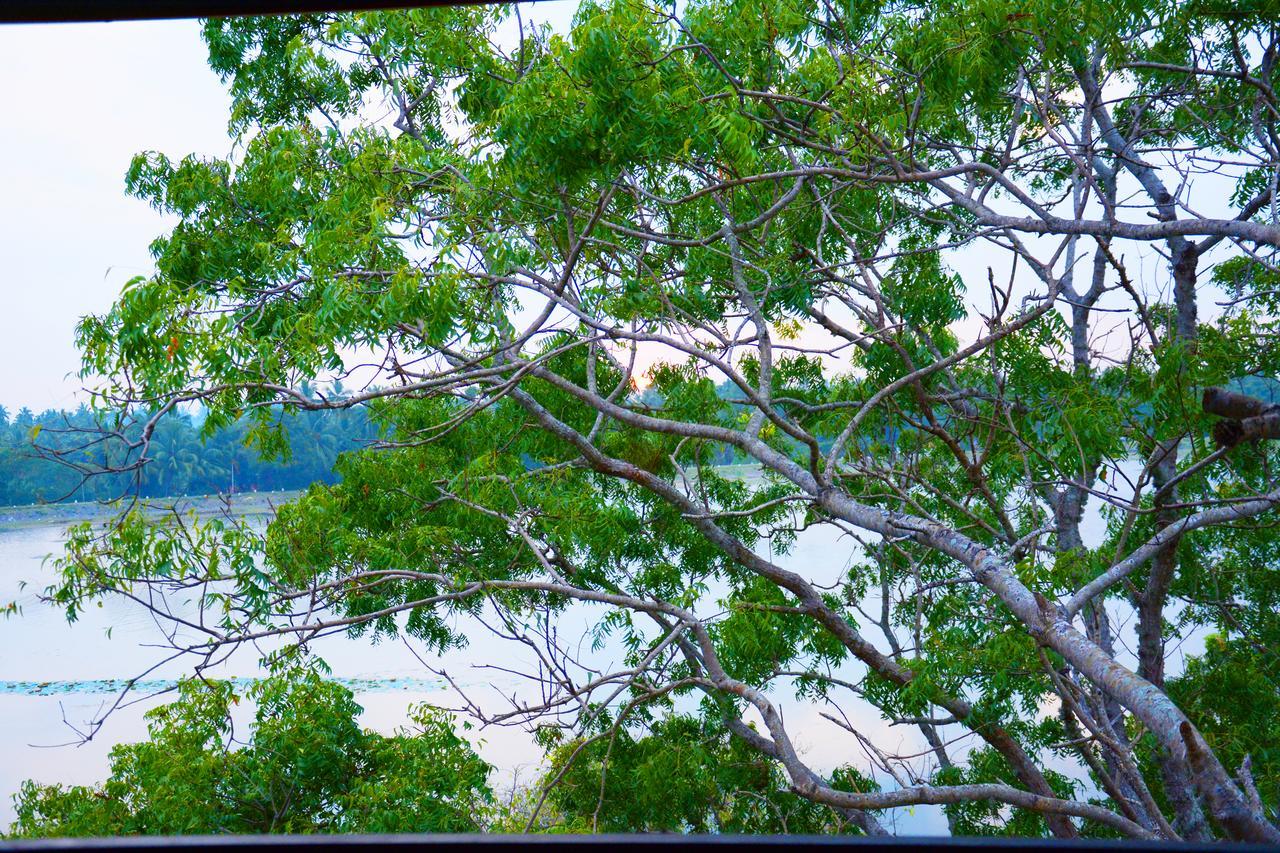 Diya Dahara Resort Parque nacional Parque nacional Yala Exterior foto